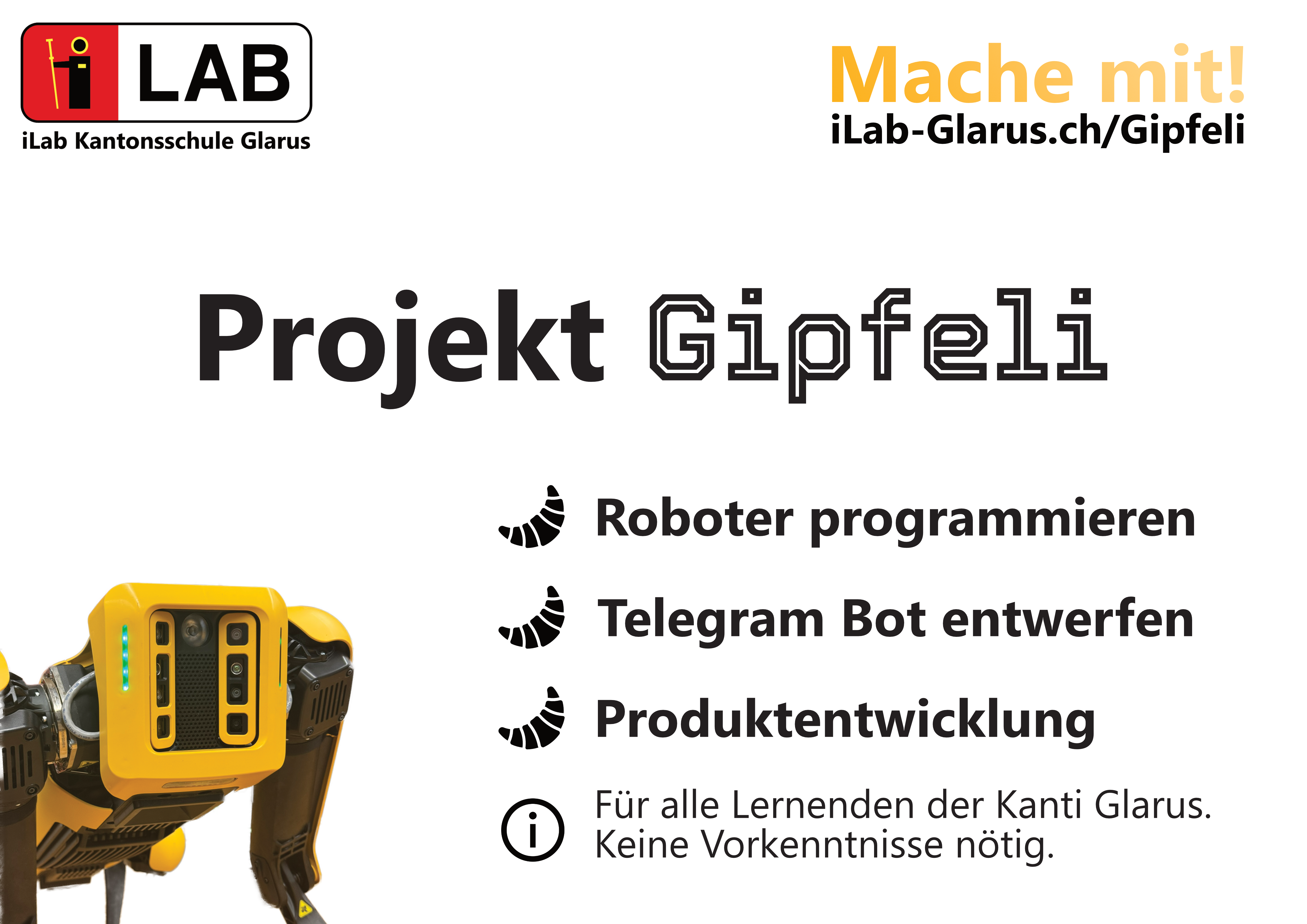 Projekt Gipfeli Poster